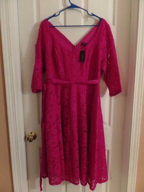NWT 18 18W Lane Bryant PINK Lined Lace Dress w/3/4 Sleeve and Ribbon Belt Girly